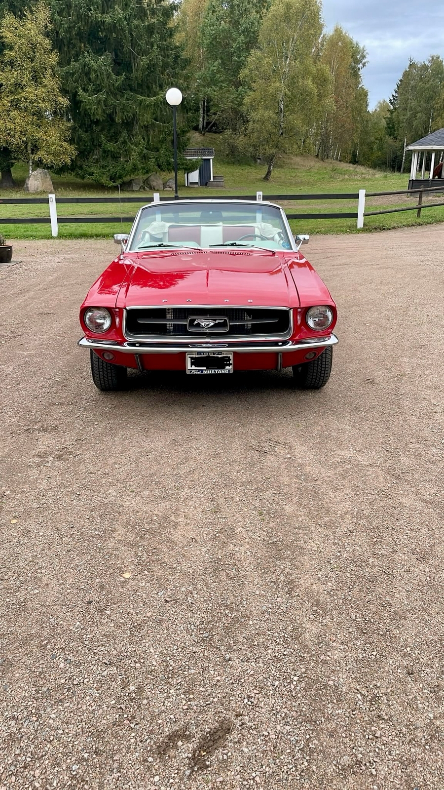 Ford Mustang 1967, bild 4/10