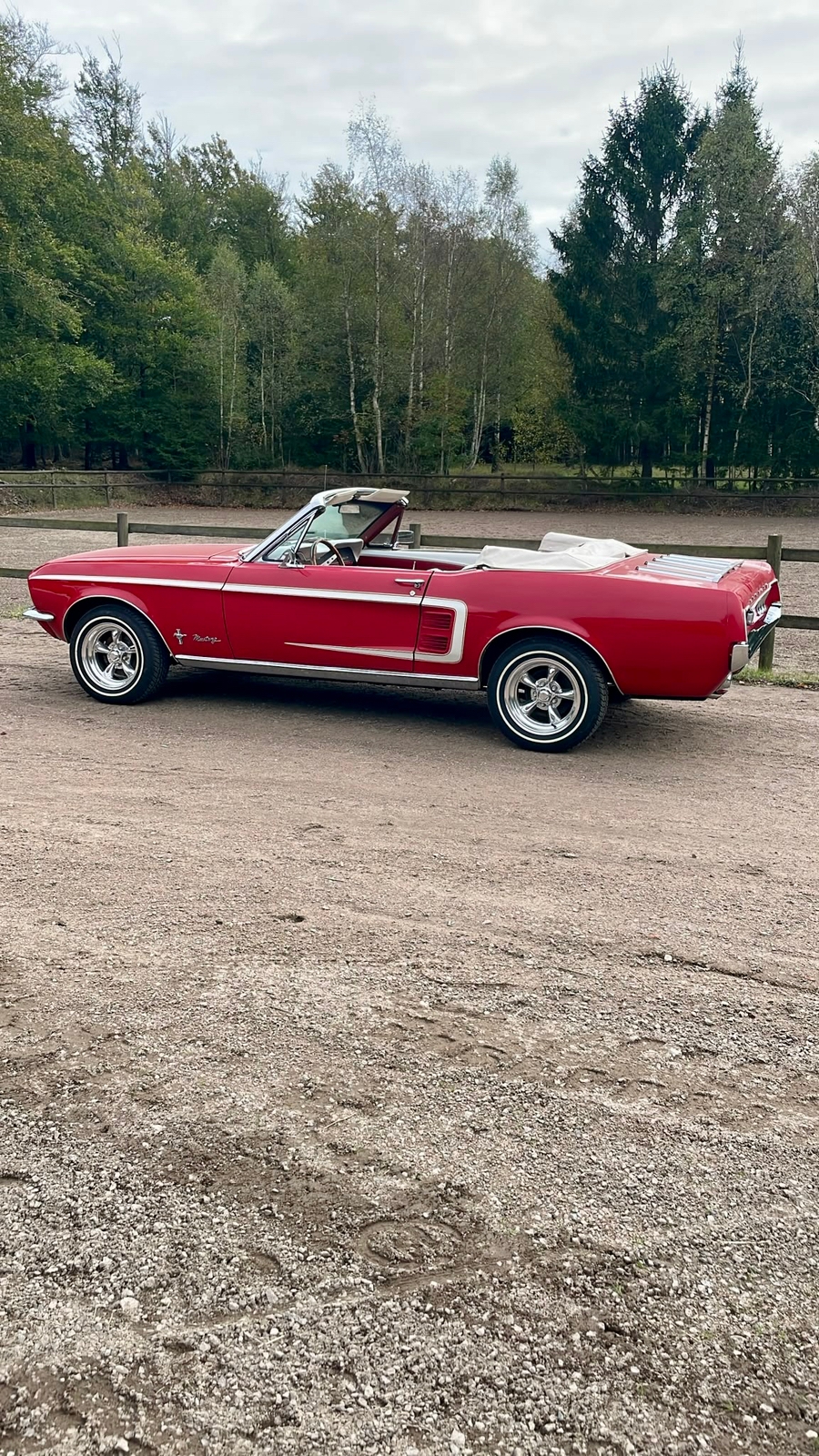 Ford Mustang 1967, bild 3/10