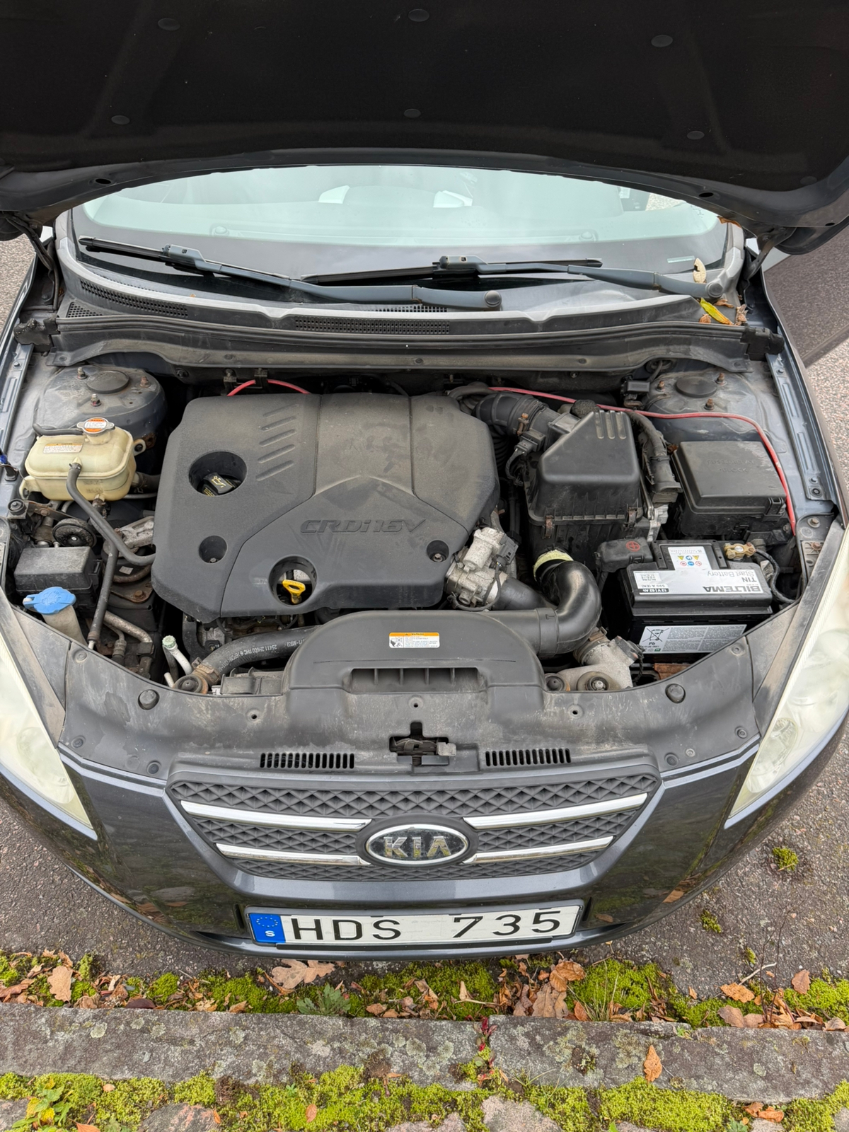 Kia Ceed 1.6 CRDi 90 2008, bild 8/8