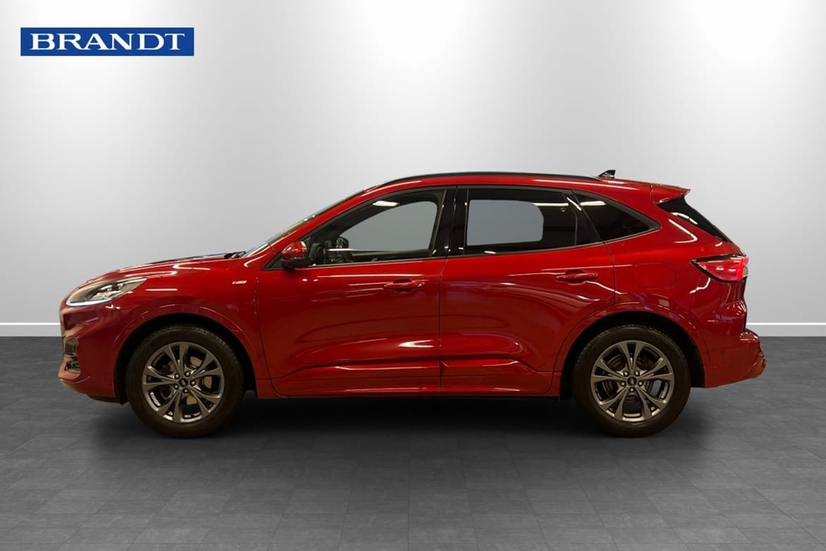 Ford Kuga 2.0 EcoBlue ST-Line X 2020, photo 3/9