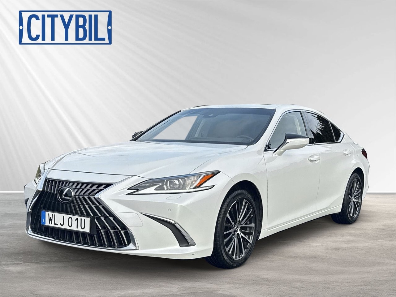 Lexus ES 300h