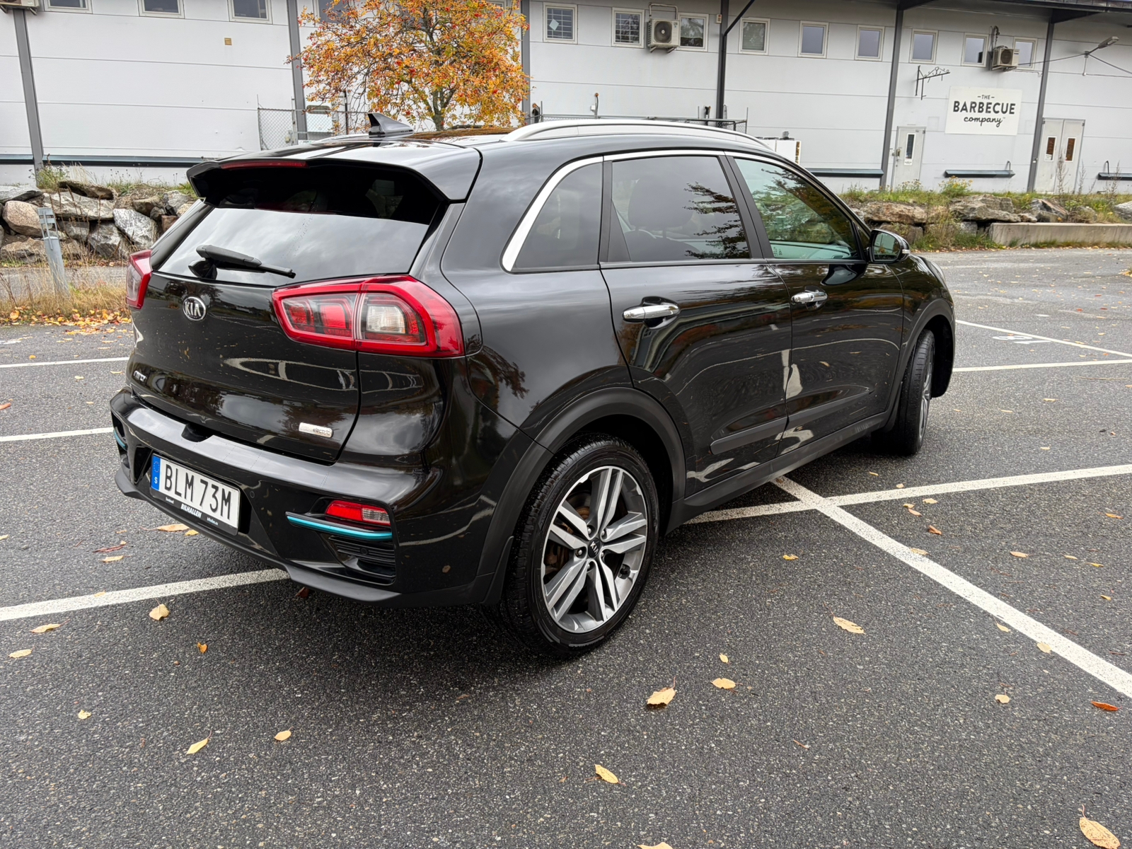 Kia e-Niro 64 kWh 2019, bild 3/8