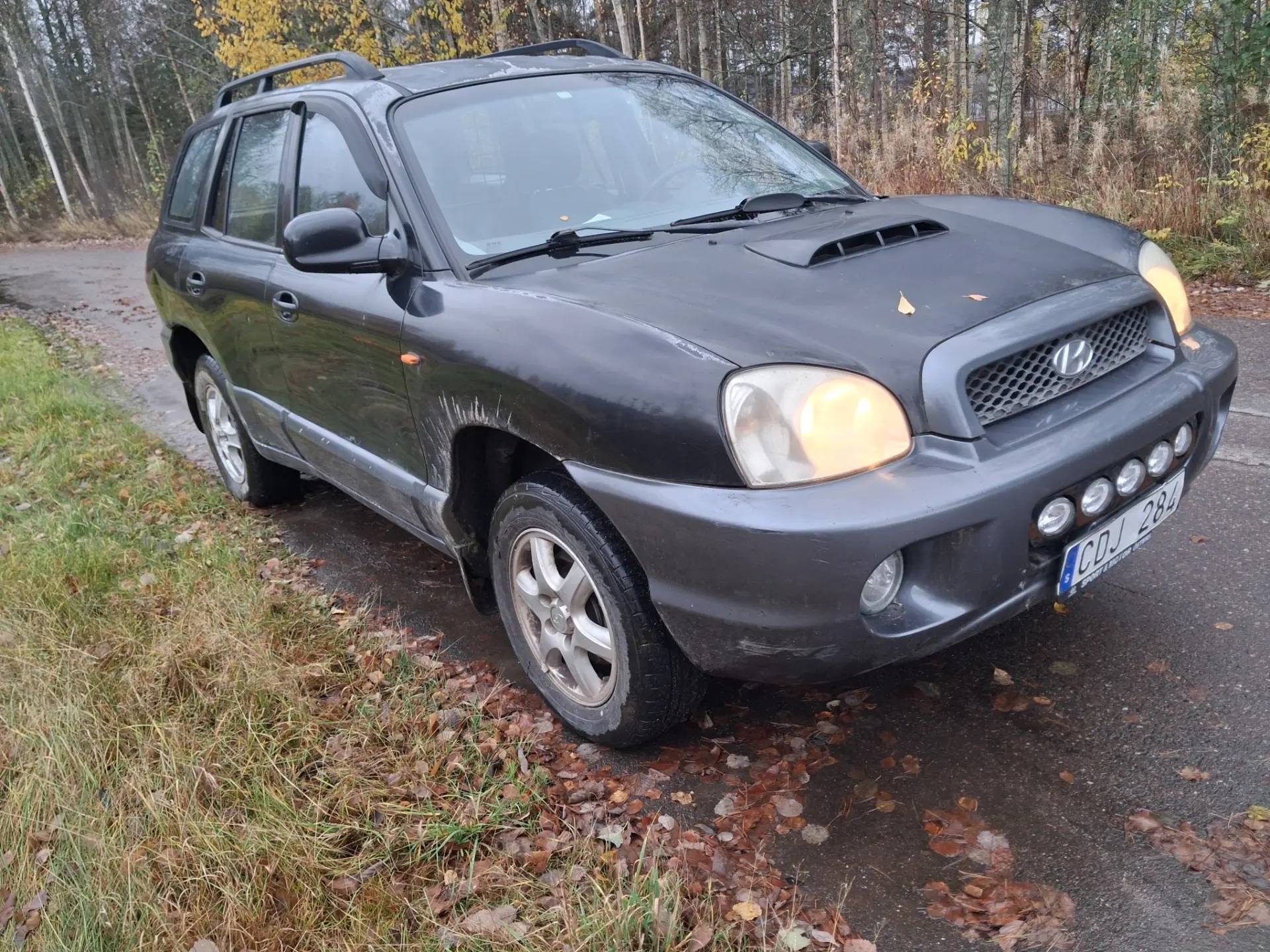 Hyundai Santa Fe 2003, bild 2/5