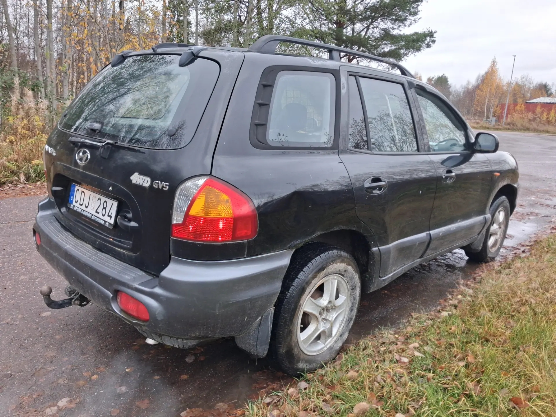 Hyundai Santa Fe 2003, bild 3/5