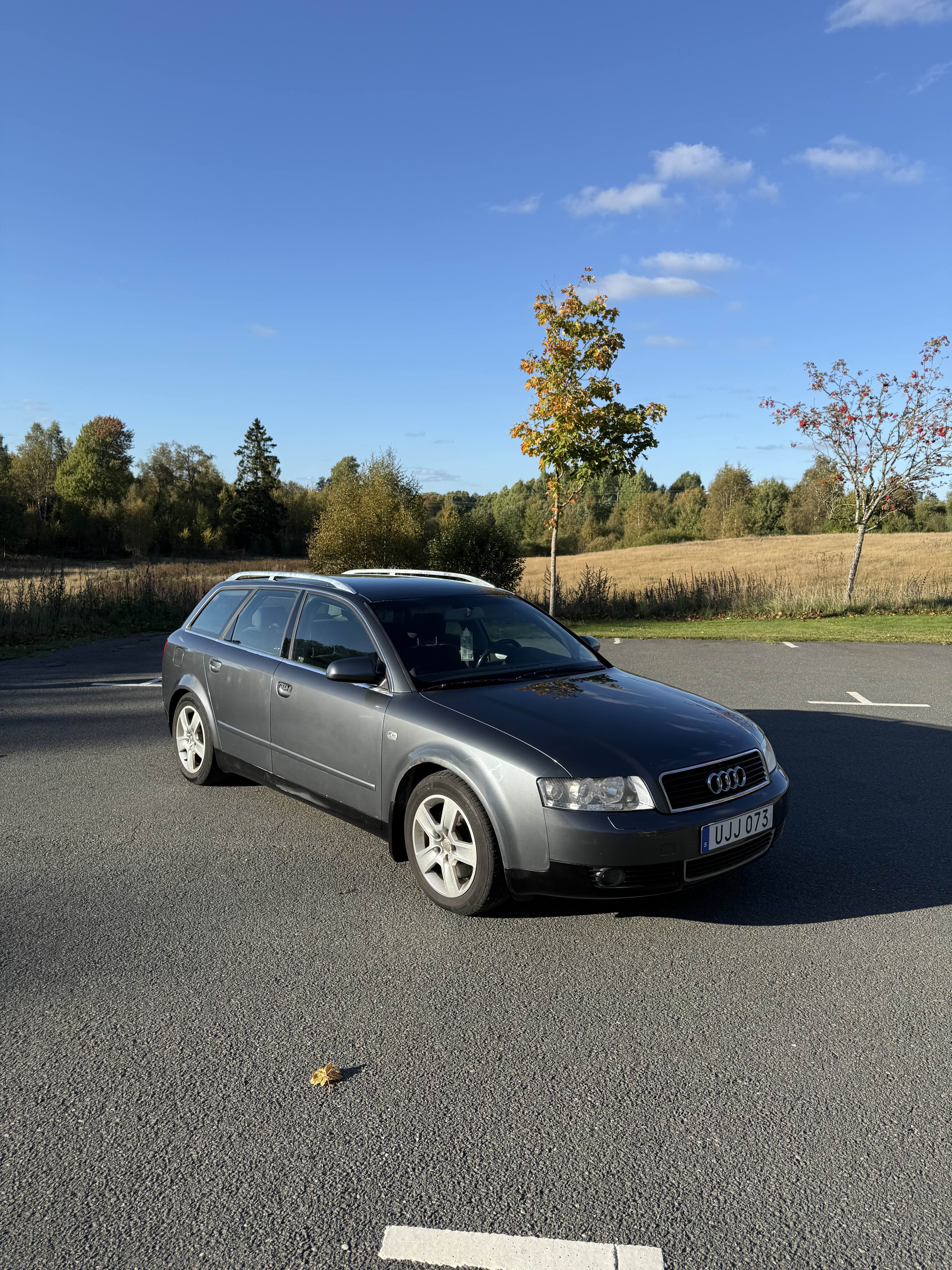 Audi A4 2.4 2004, bild 2/10