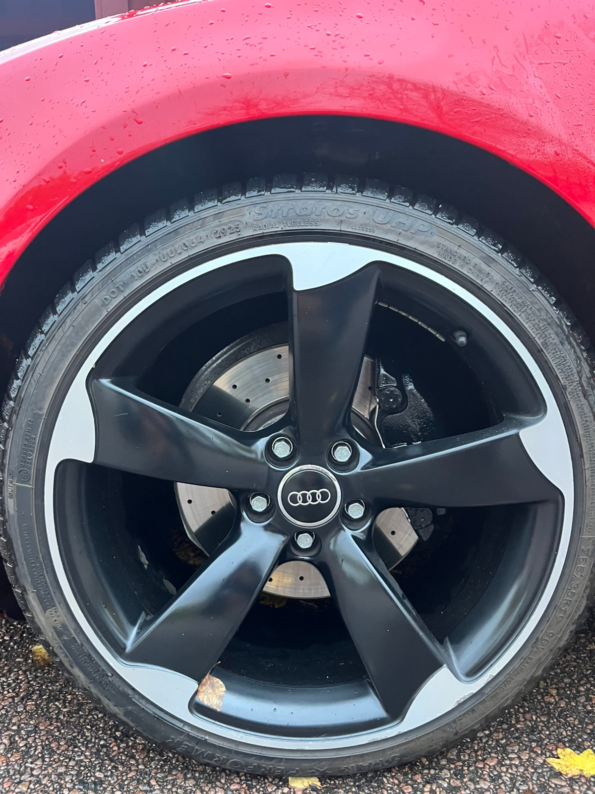 Audi A5 3.0 TDI DPF 2008, photo 6/7