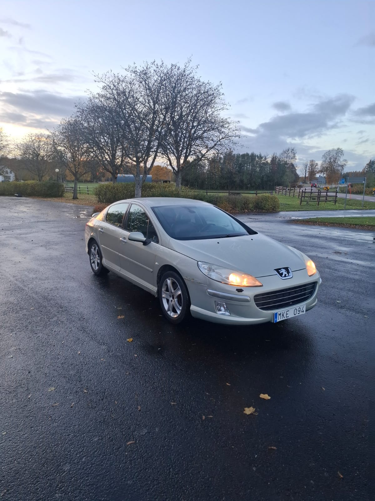 Peugeot 407 165 2007, bild 6/7