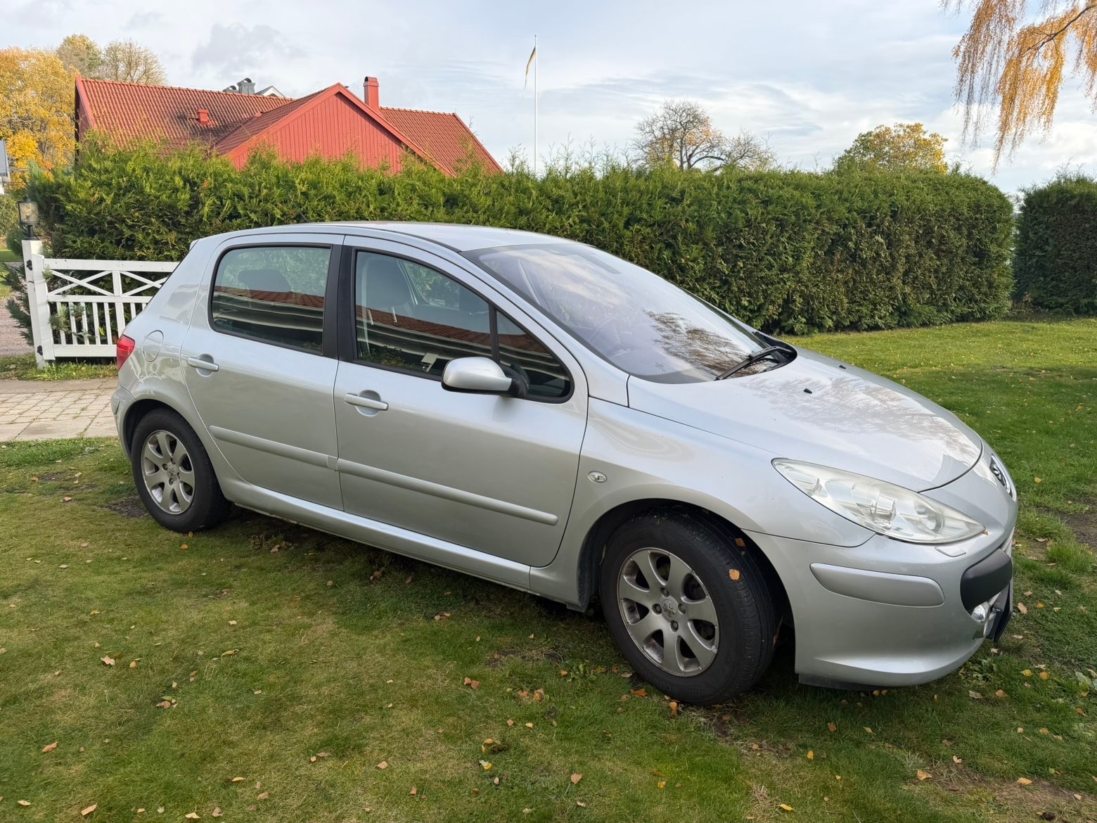 Peugeot 307