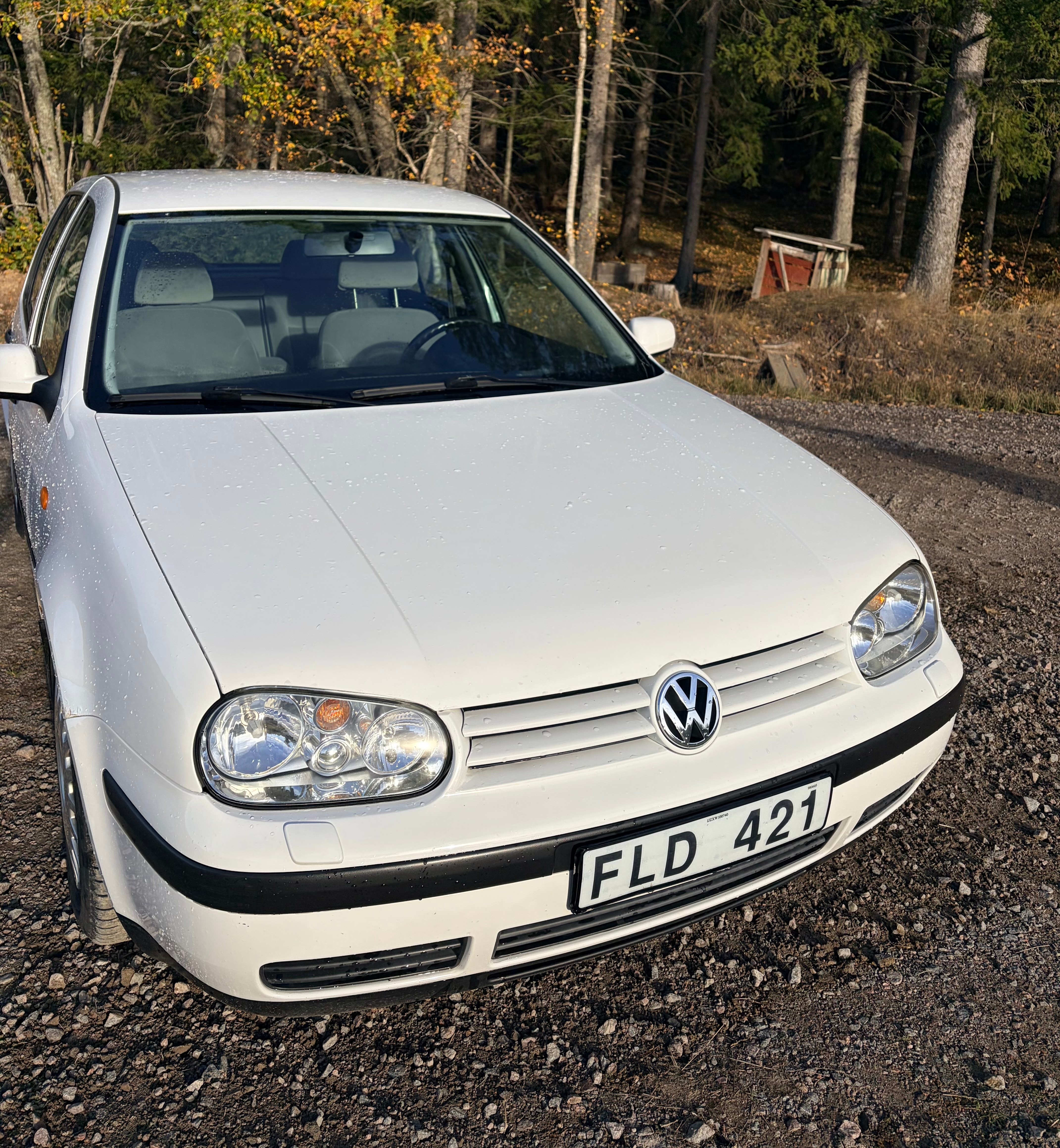 Volkswagen Golf 1.6 1999, bild 4/9