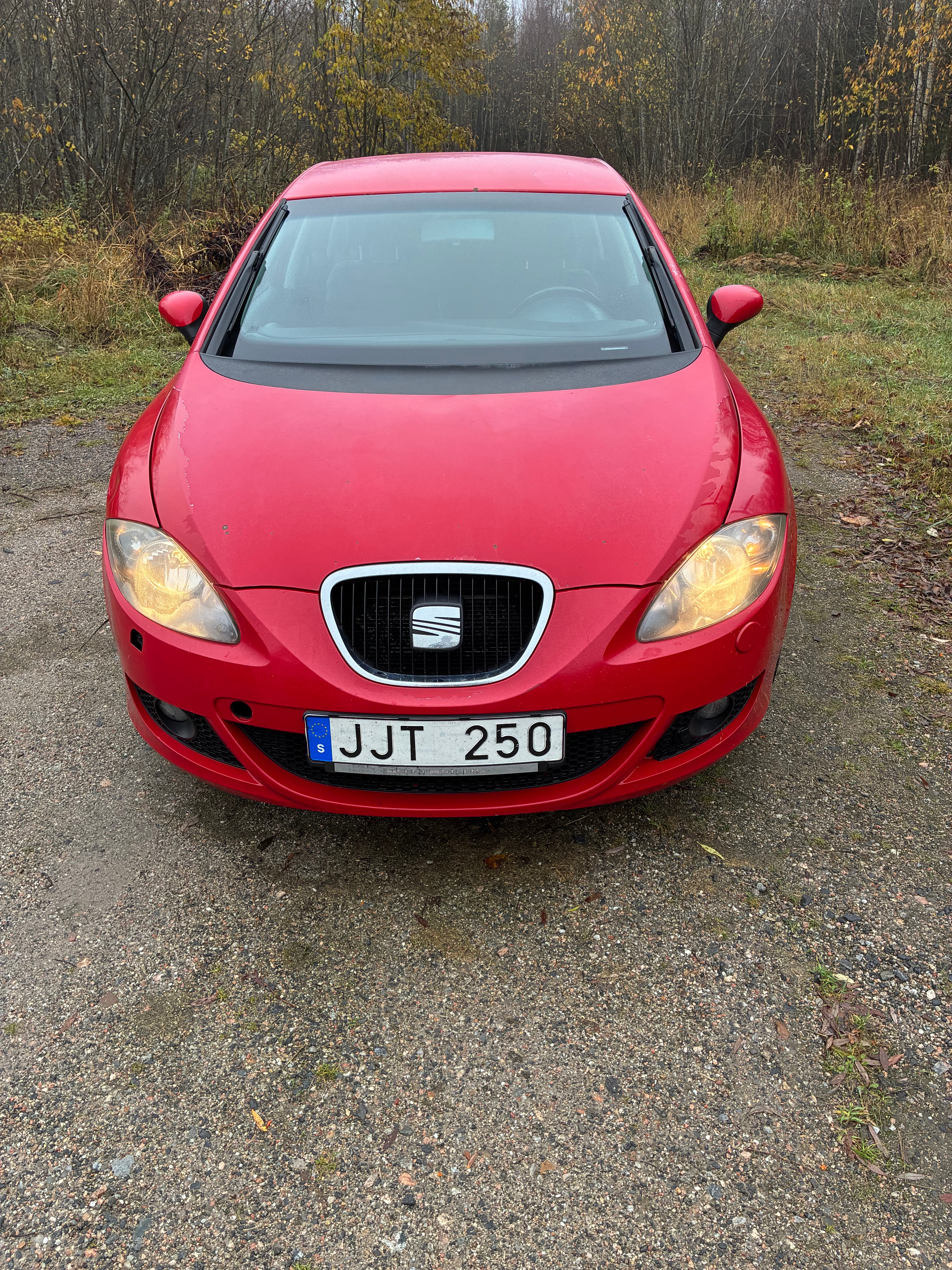 Seat Leon 1.6 2007, bild 2/10