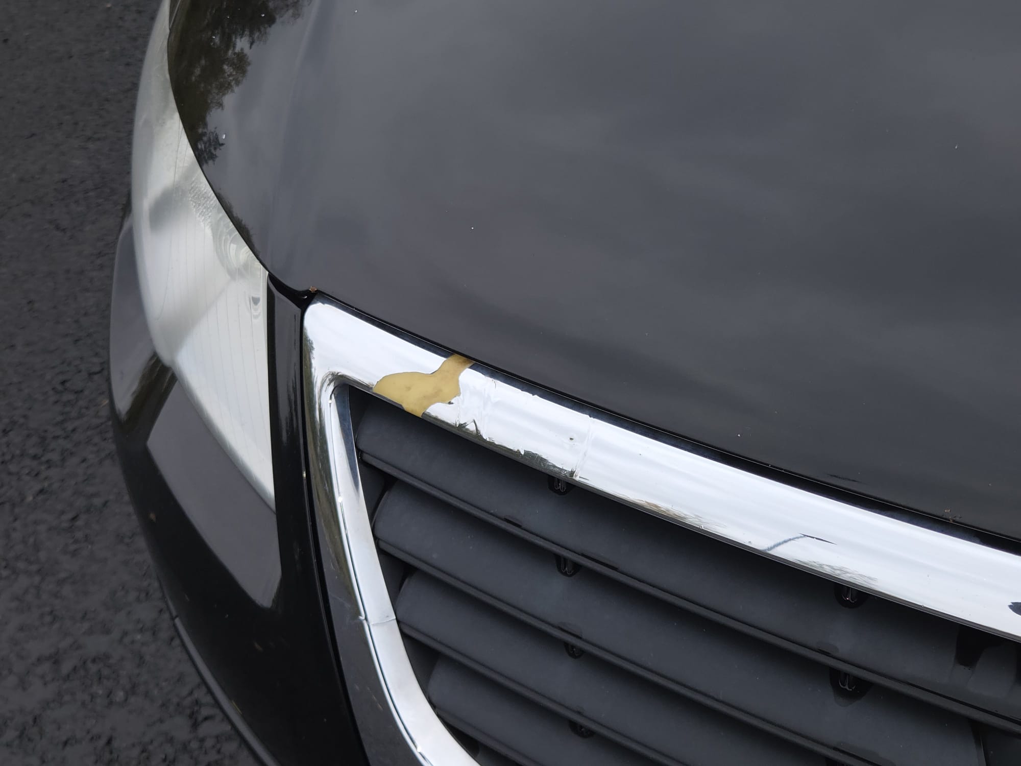 Volkswagen Passat 1.4 TSI EcoFuel 2010, kuva 10/10