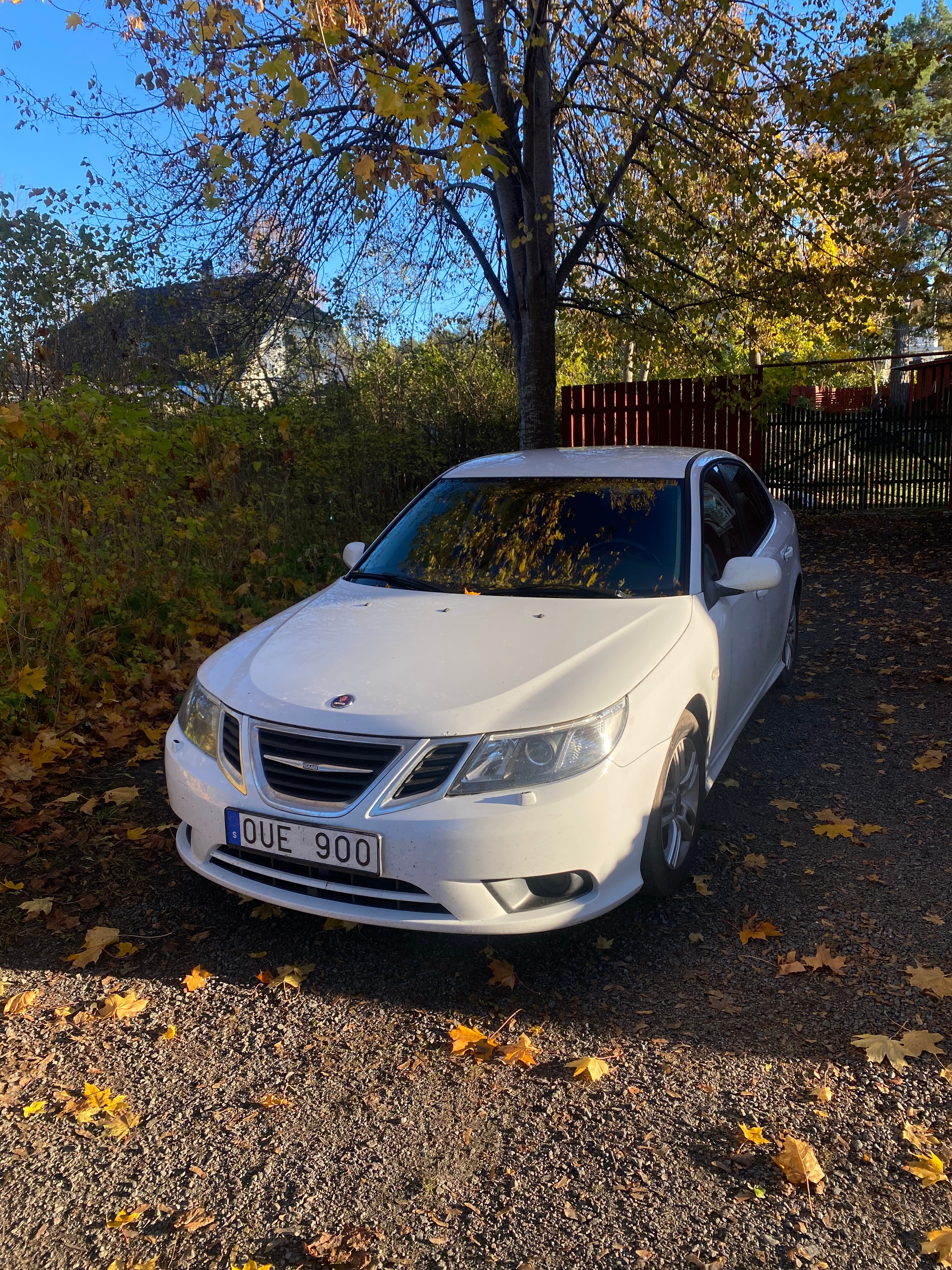 Saab 9-3 1.9 TTiD 2011, bild 2/6