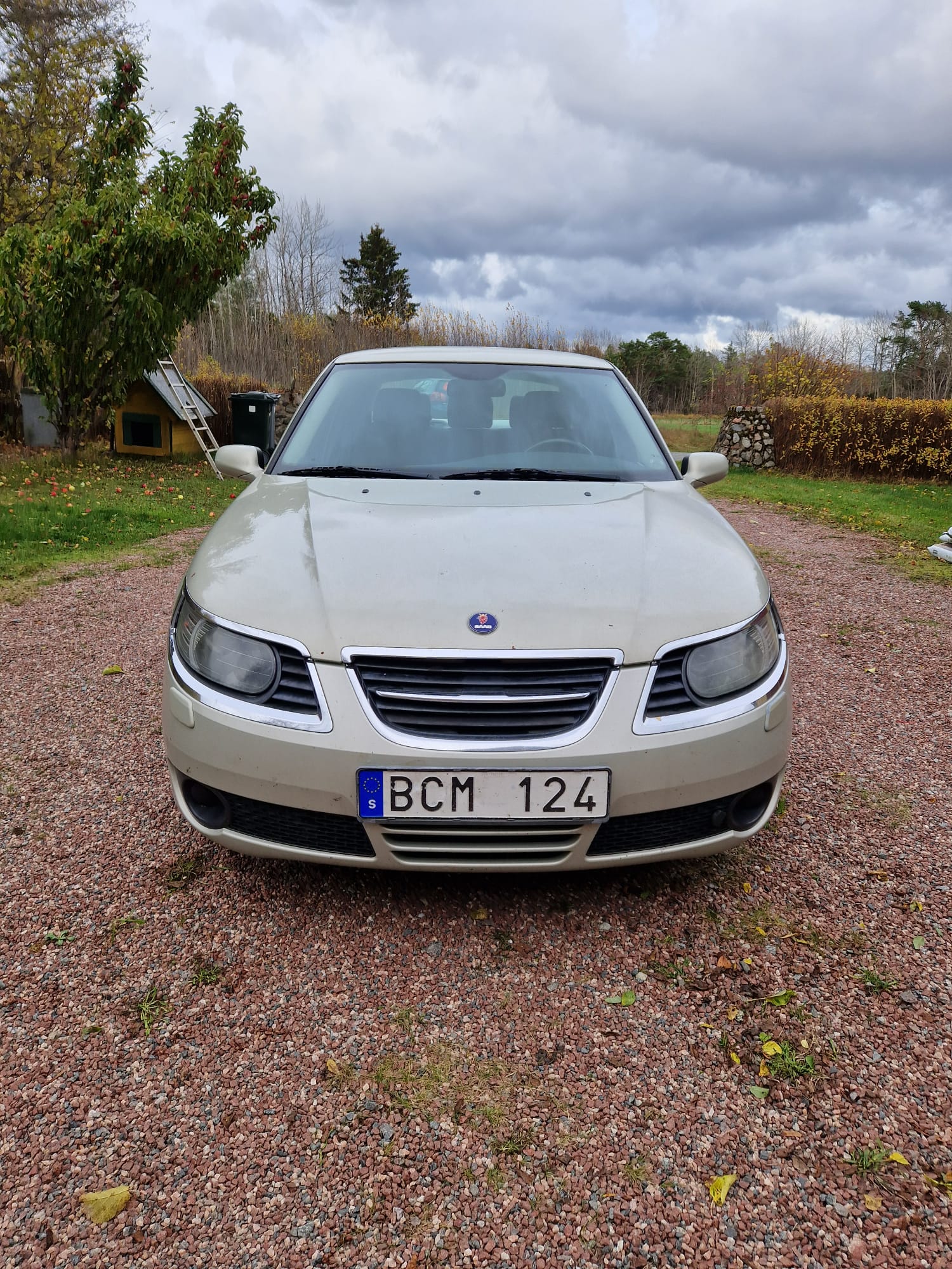 Saab 9-5 Linear 2007, bild 2/6