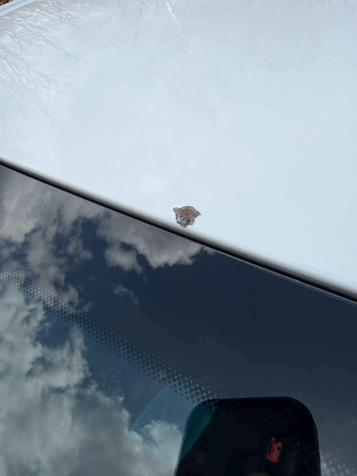 Audi A6 2.0 TDI 2016, photo 8/9