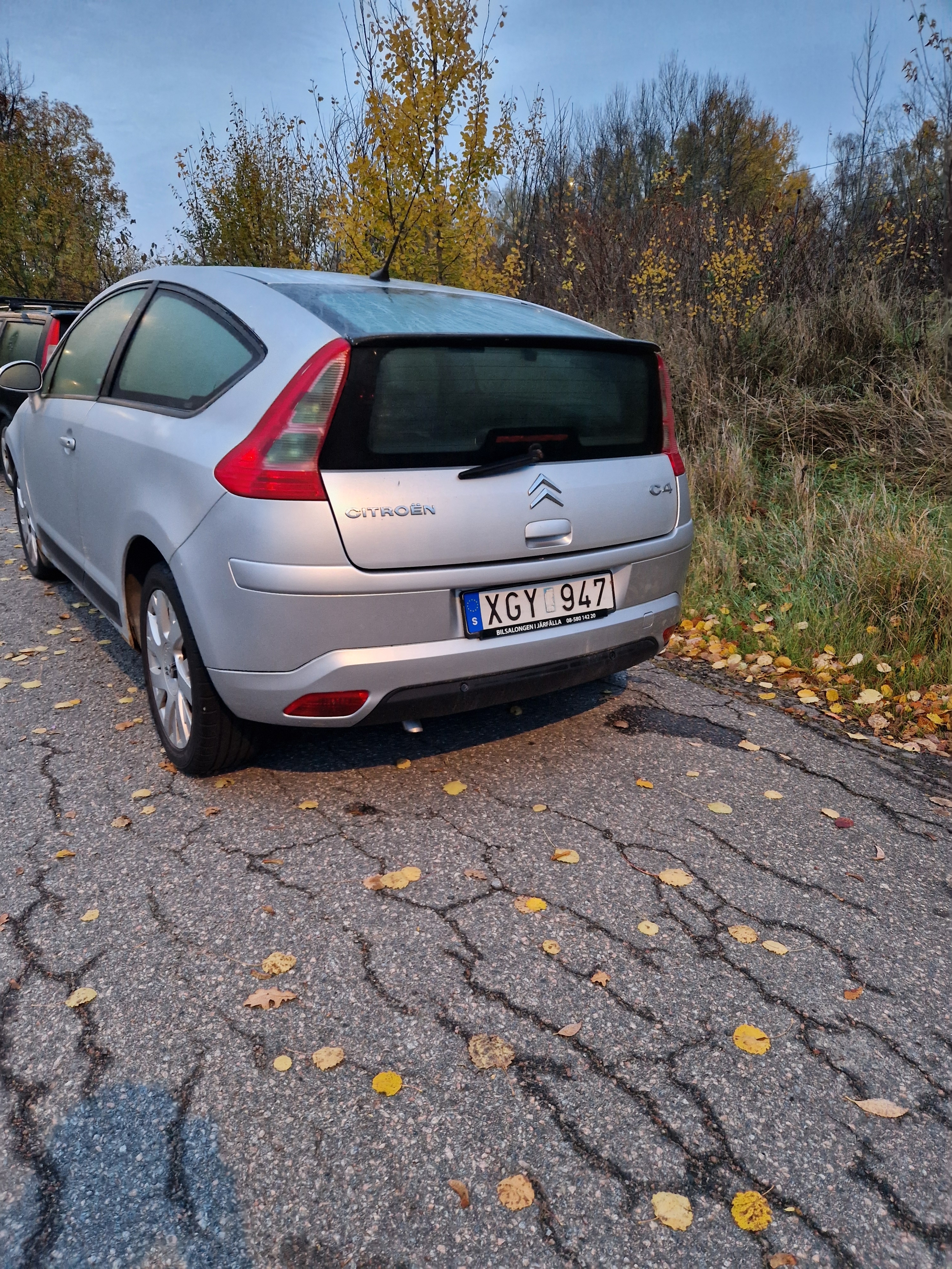 Citroen C4 2.0 16V 2006, bild 7/8