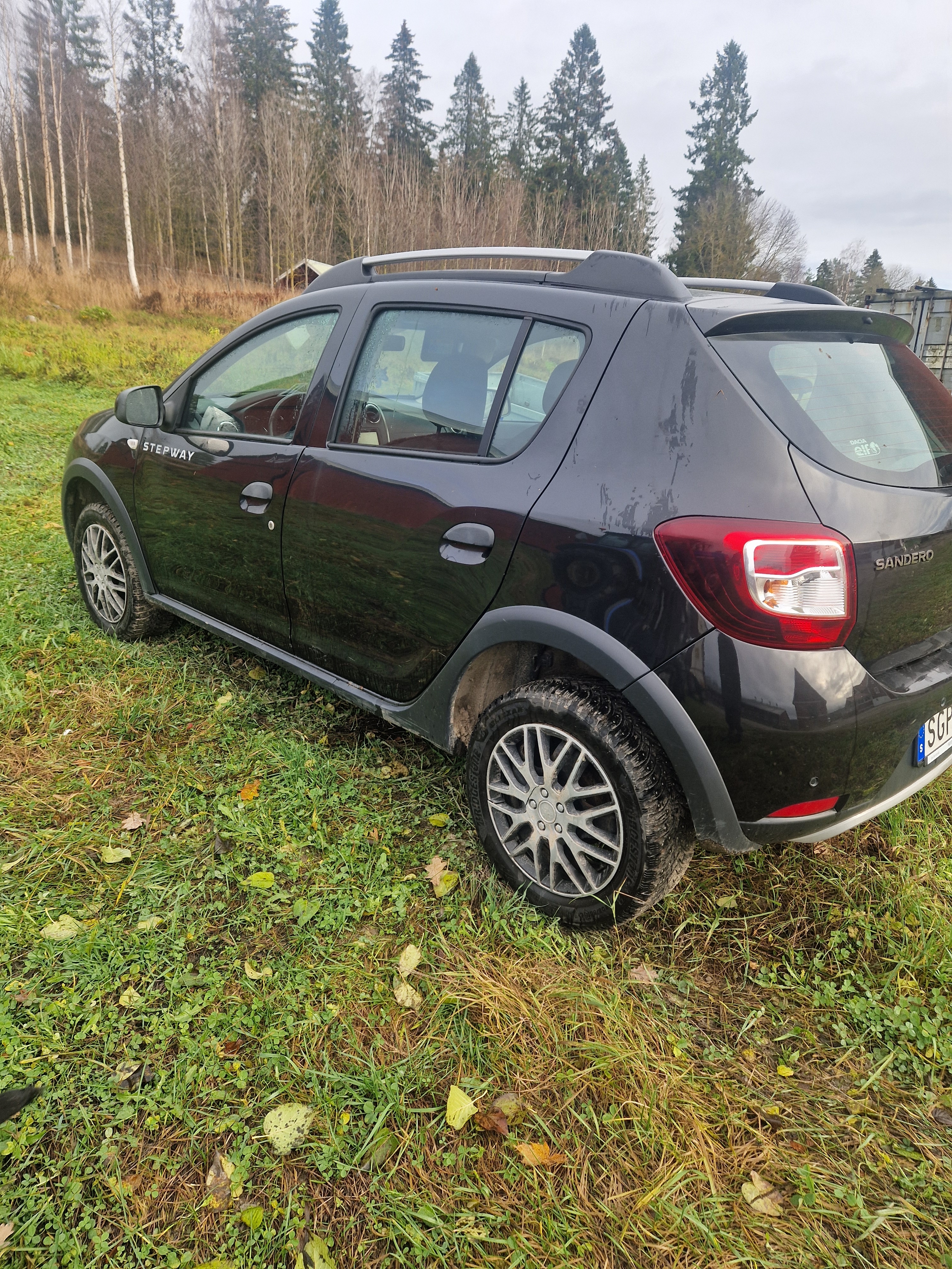 Dacia Sandero Stepway 2014, bild 3/8