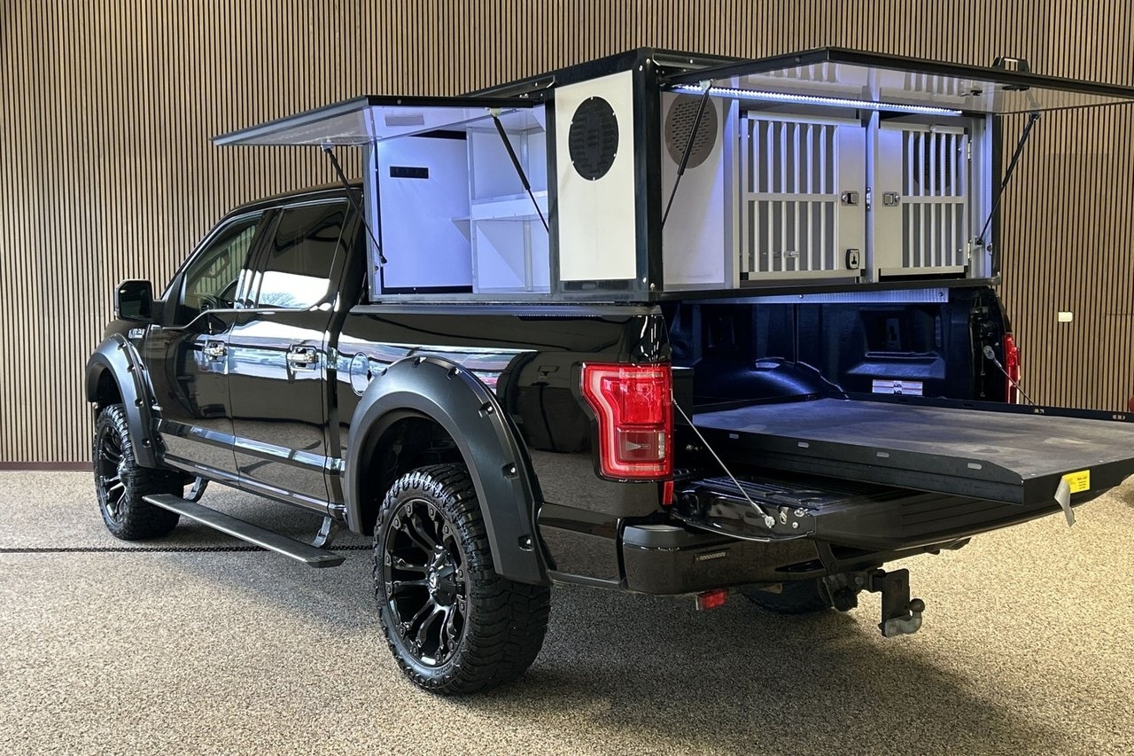 Ford F-150 2016, bild 3/10