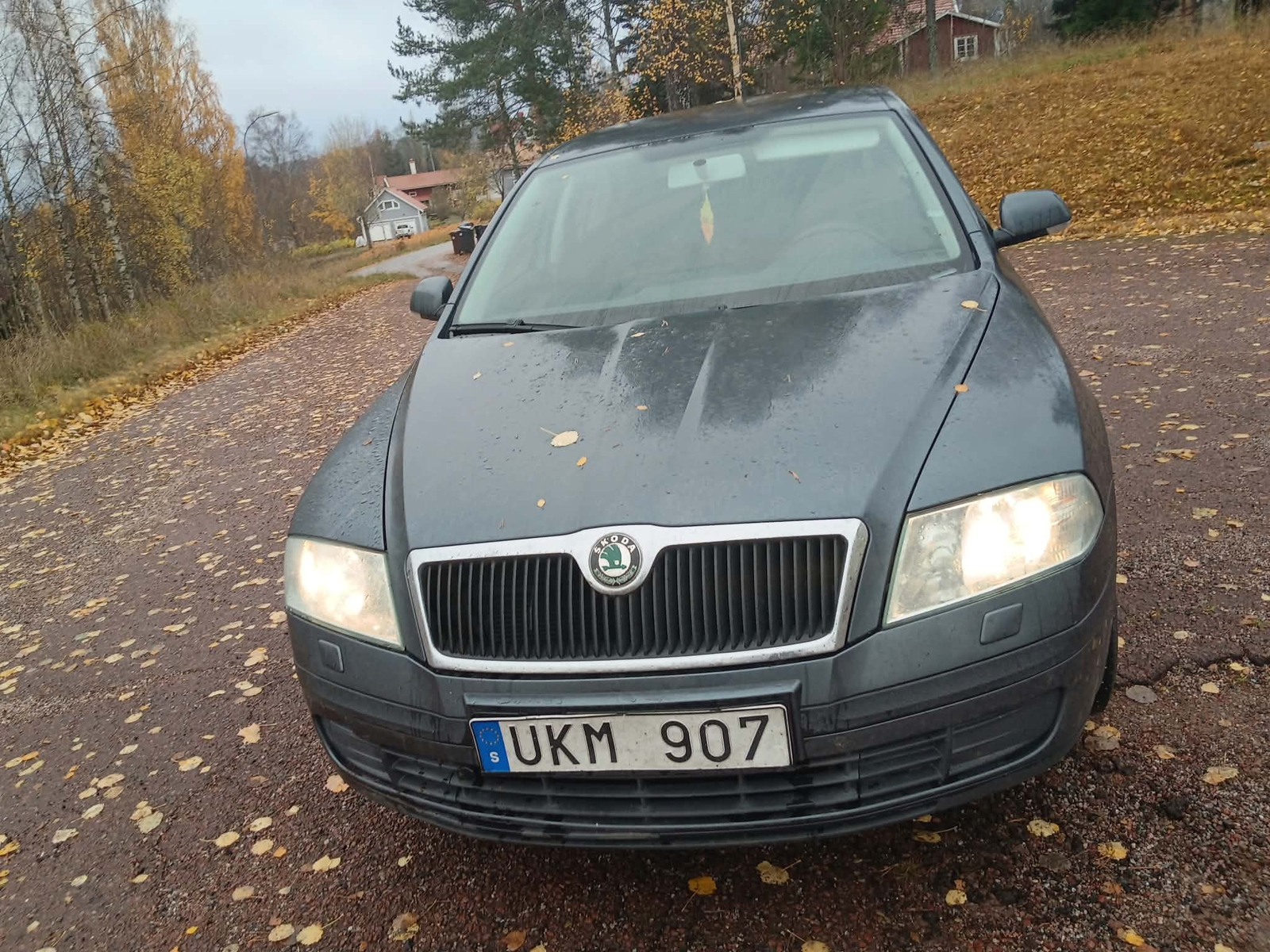 Skoda Octavia 1.6 2007, bild 3/5