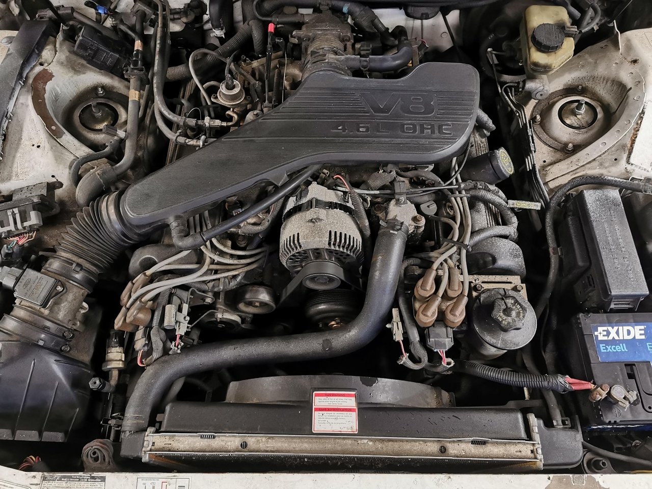 Ford Thunderbird 1994, bild 8/8
