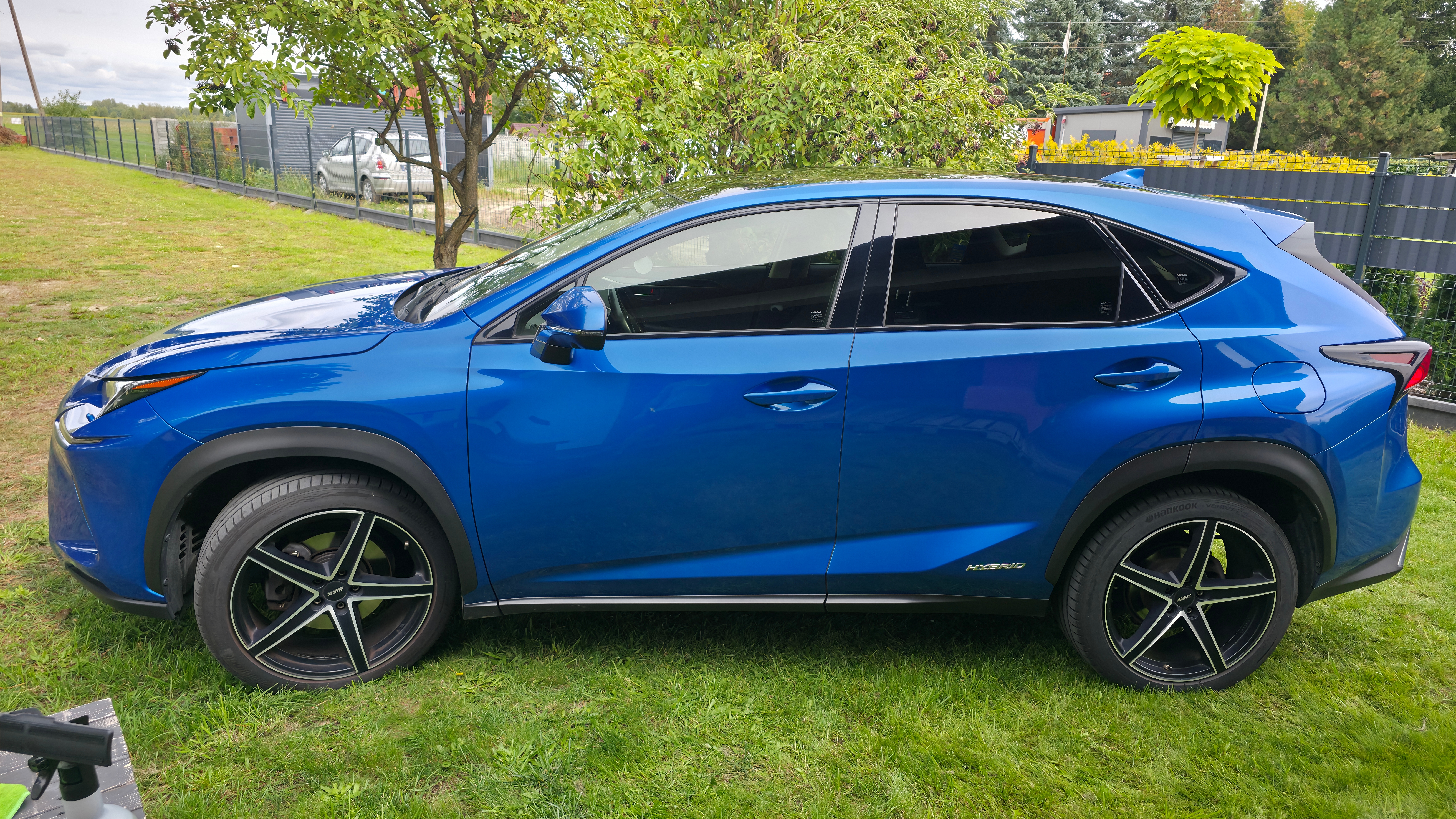 Lexus NX 300h Luxury 2019, bild 7/10