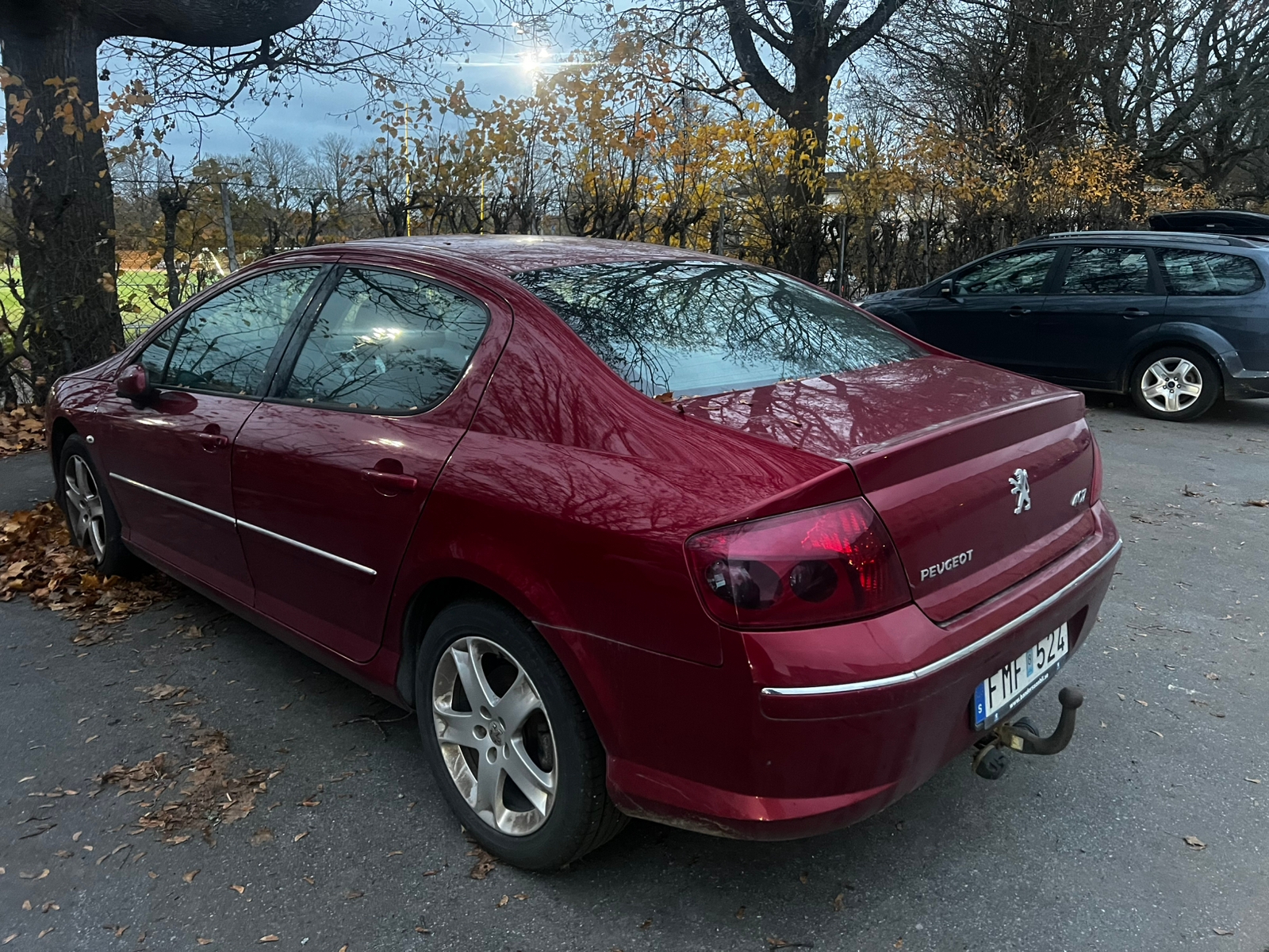 Peugeot 407 165 2007, bild 3/6